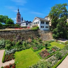 Blick von oben auf den Rosengarten innerhalb der Burgmauern. Im Hintergrund sieht man den Kirchturm.