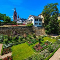 Blick von oben auf den Rosengarten innerhalb der Burgmauern. Im Hintergrund sieht man den Kirchturm.