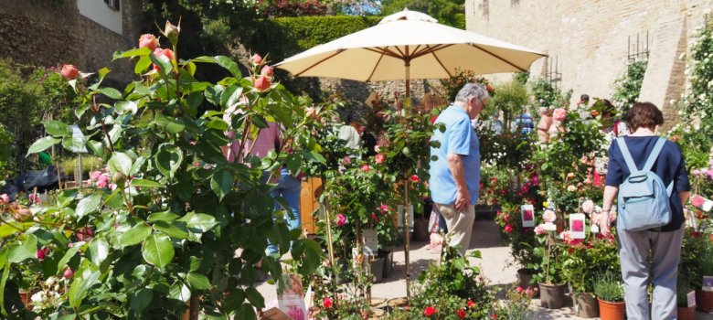 Verkaufsstände und viele Rosen und Besucher